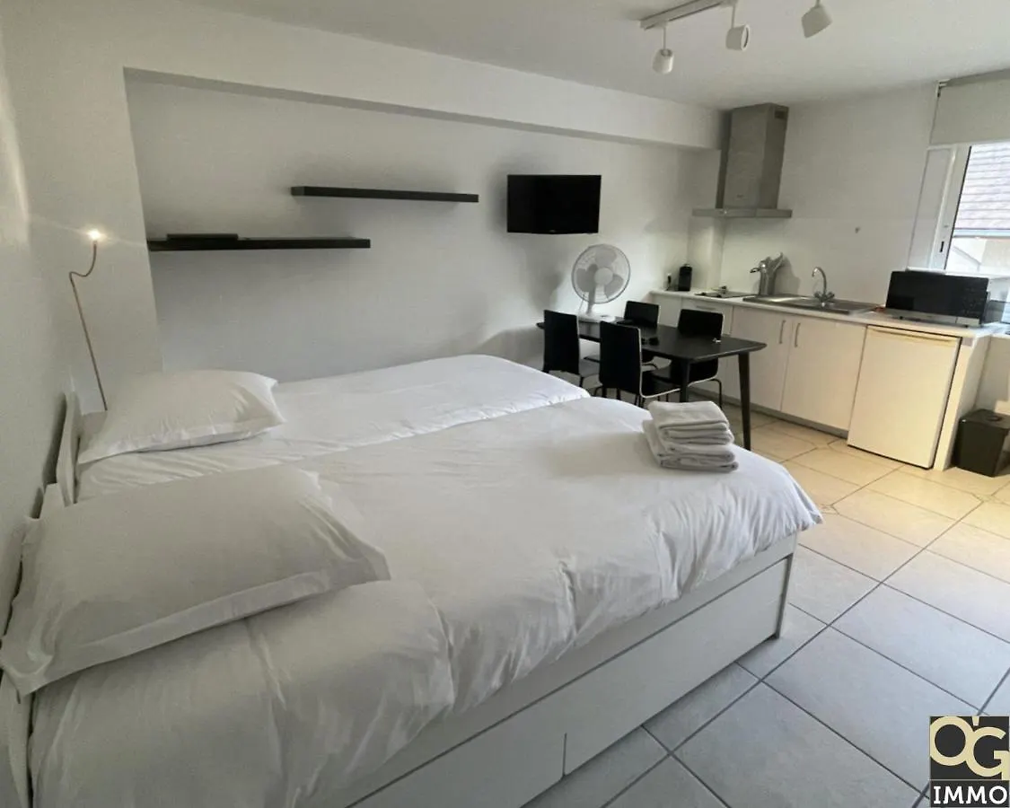 Apartment Petit Lac Duingt